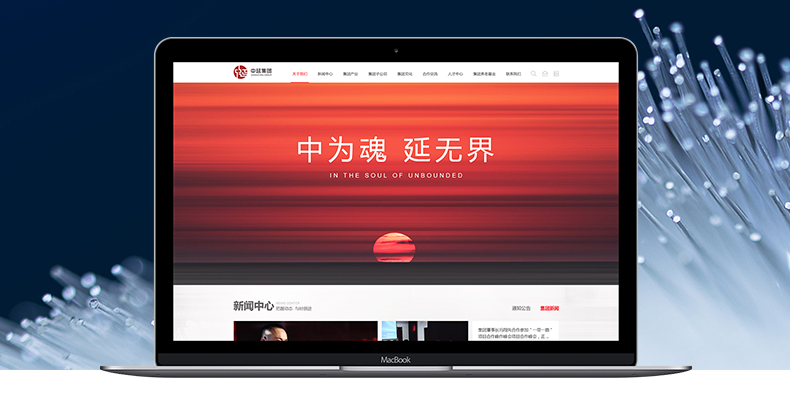 集團網(wǎng)站建設案例